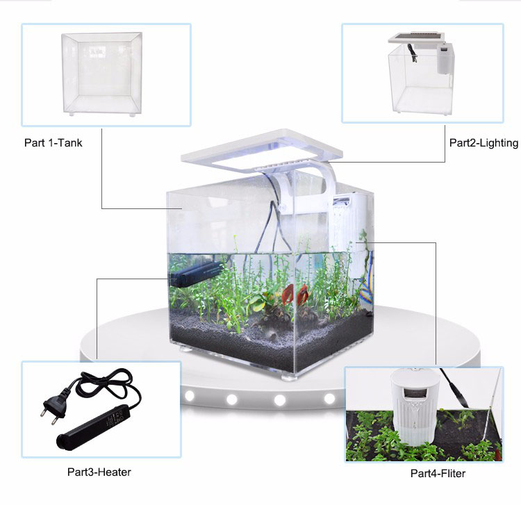 Mini Acuario de Acrílico (25*2 - Aquarium Fish For Sale reseña y precio