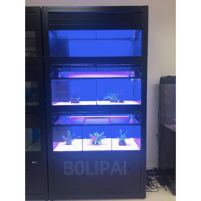 Sistema de Soporte Metálico Pe - Aquarium Fish Glass reseña y precio