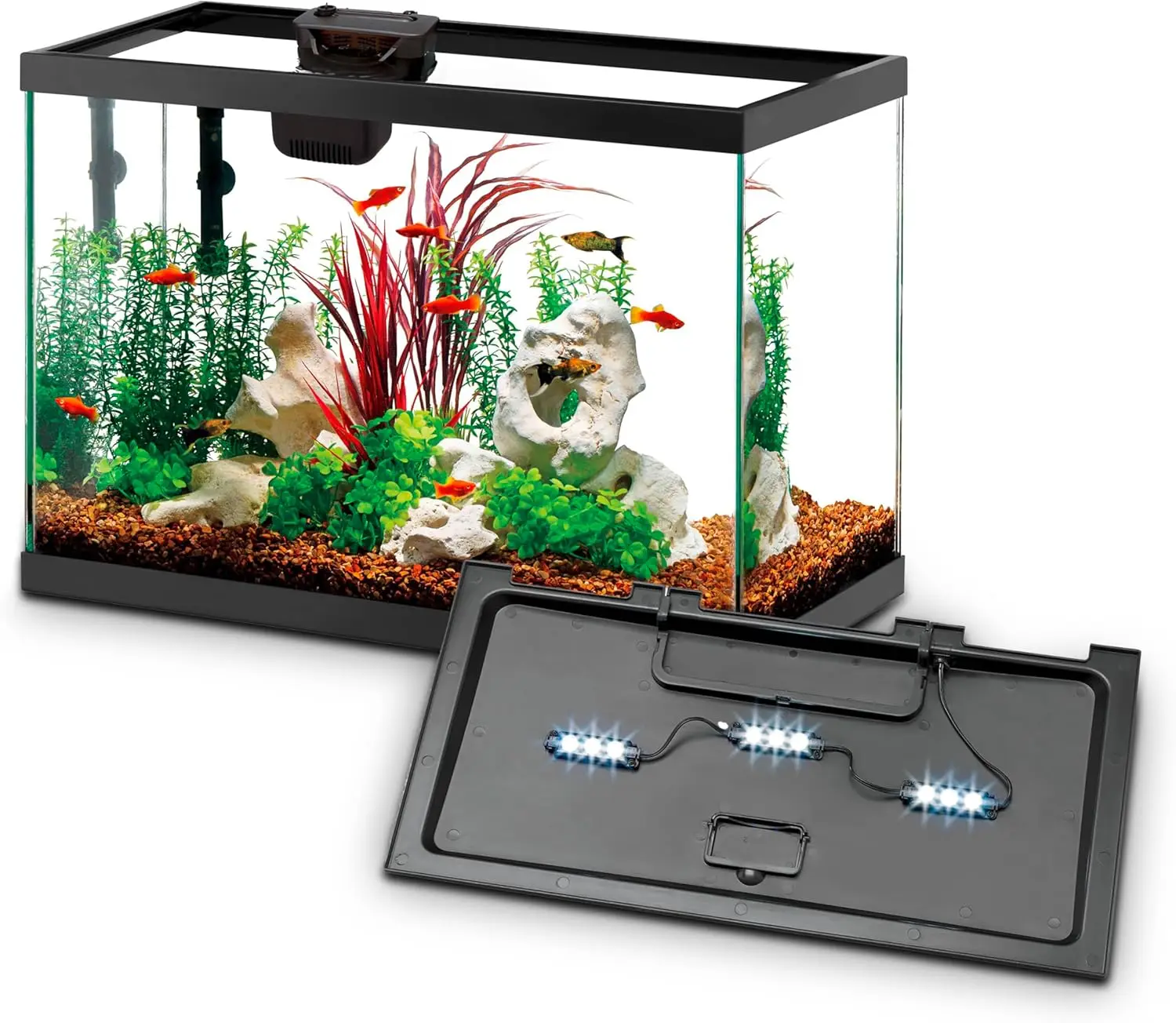 Kit de Inicio para Acuario con - Tetra Fish In Aquarium reseña y precio