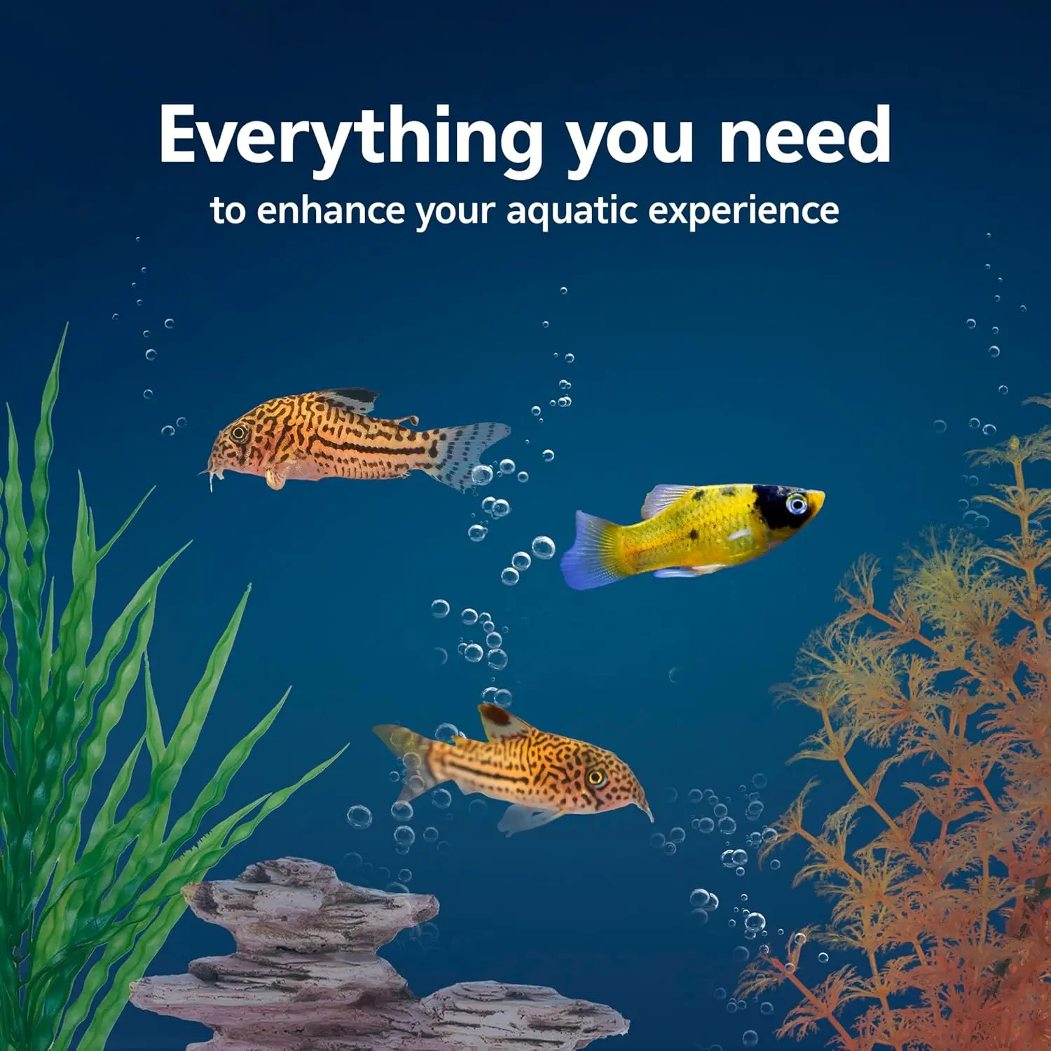 Kit de Inicio para Acuario con - Tetra Fish In Aquarium reseña y precio