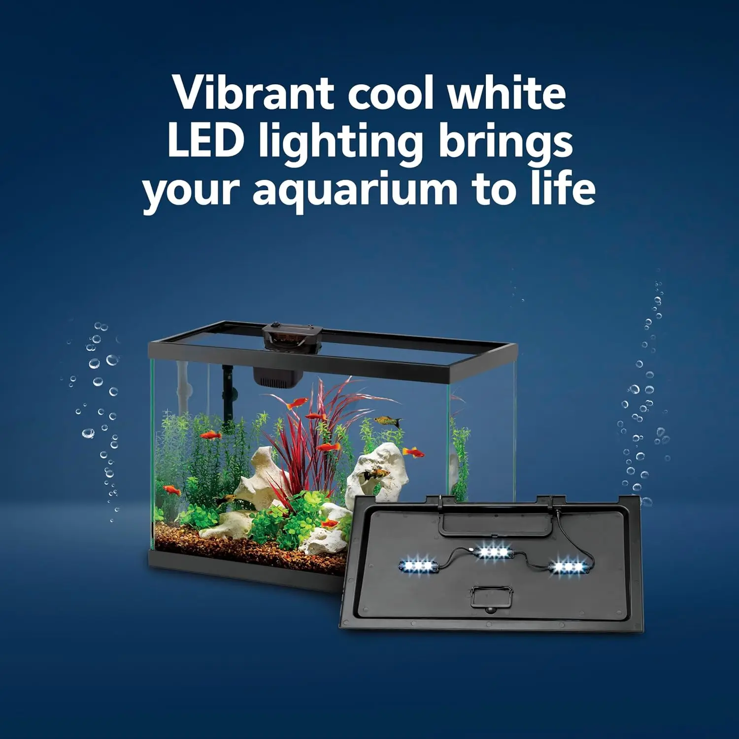 Kit de Inicio para Acuario con - Tetra Fish In Aquarium reseña y precio