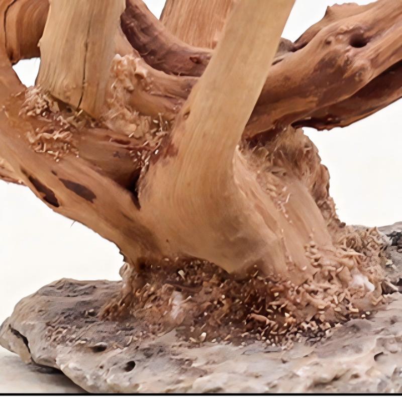 Adornos de madera para paisaji - Aquarium Fish Tank Price reseña y precio