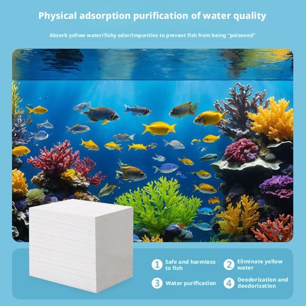 100 Uds. Hojas purificadoras d - Aquarium Fish Yellow reseña y precio