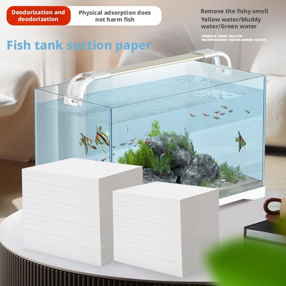 100 Uds. Hojas purificadoras d - Aquarium Fish Yellow reseña y precio