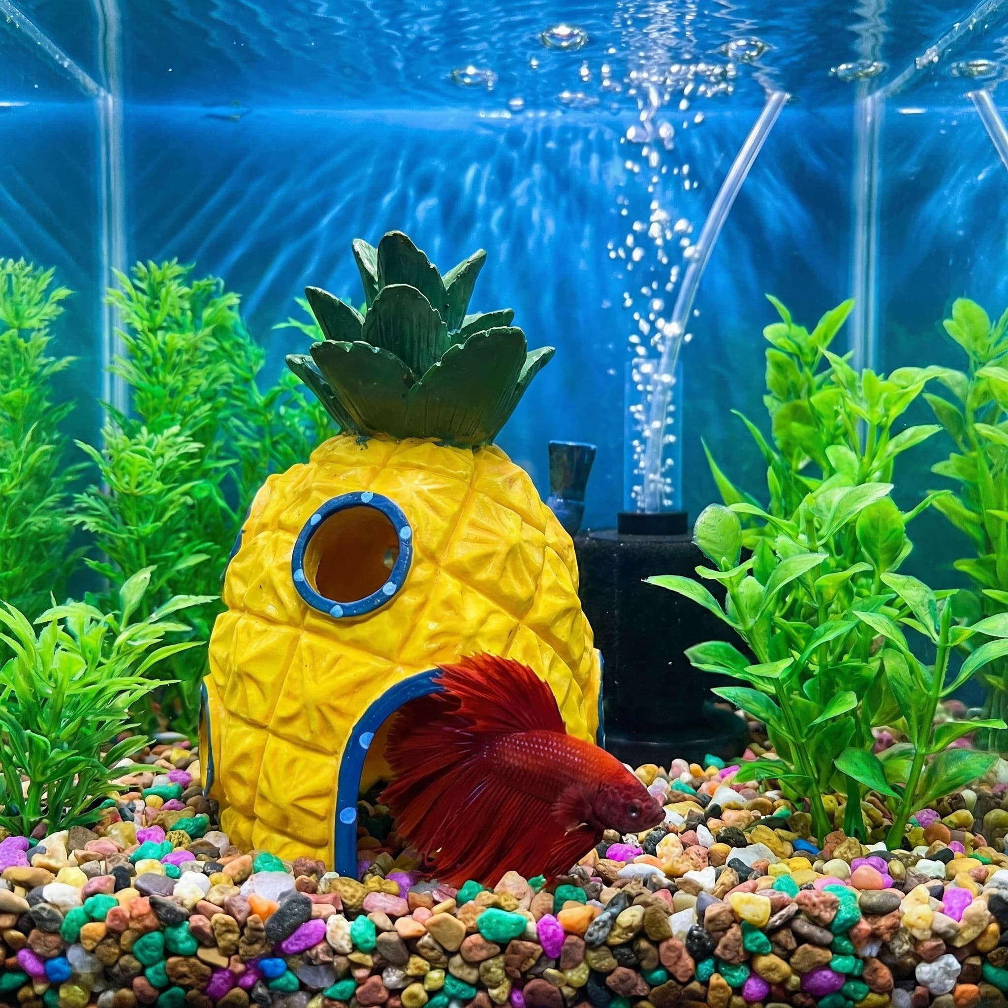 Decoración para Acuario Pineap - Aquarium Fish Games reseña y precio