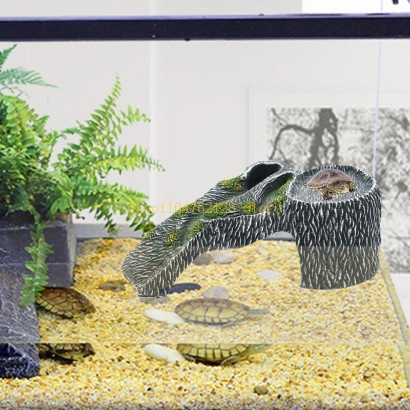 Terrarios Plataforma para toma - Aquarium Fish For Sale reseña y precio