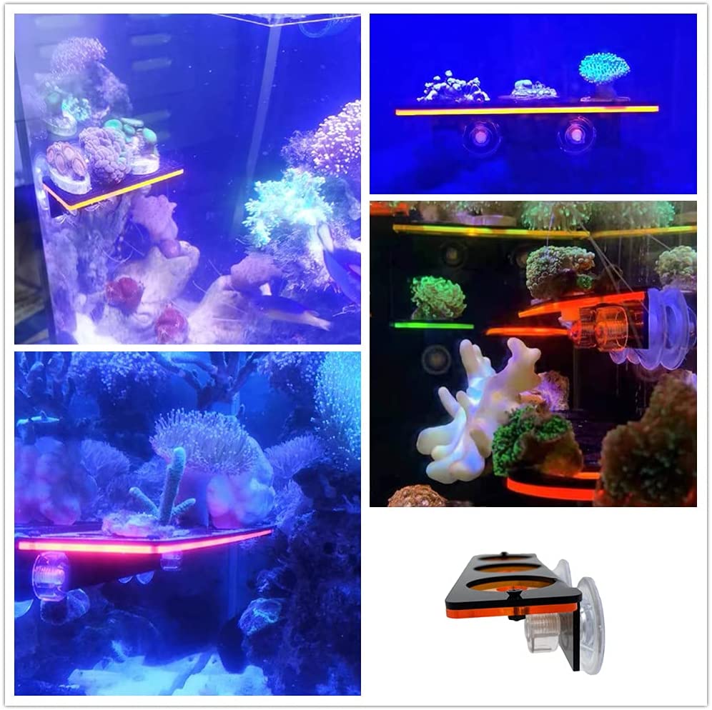 Soporte de enchufe de Coral fl - Aquarium Fish Tank Price reseña y precio