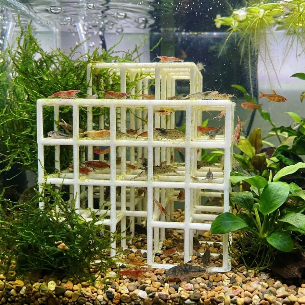 Escondite para Peces y Camaron - Aquarium Fish Games reseña y precio