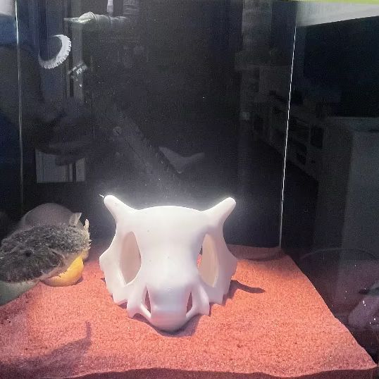 Hideout de cueva Hiden de rept - Aquarium Fish Hide reseña y precio