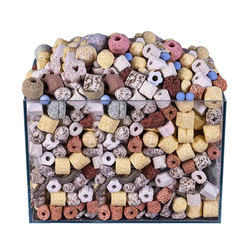 250g 500g 1000g 14 tipos de bo - Aquarium Fish For Sale reseña y precio