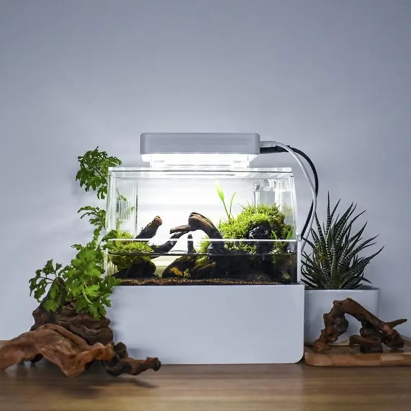 Relaxlines Acuario de Escritor - Aquarium Fish For Sale reseña y precio