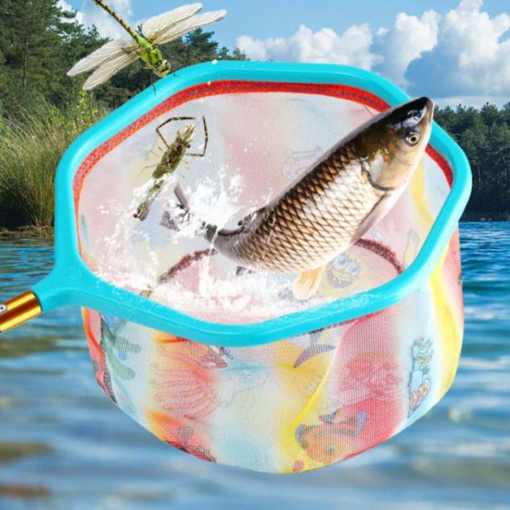 Red de pesca de bolsillo con m - Fish Net Handle reseña y precio